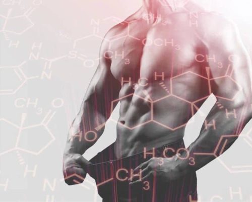 Testosterone Booster