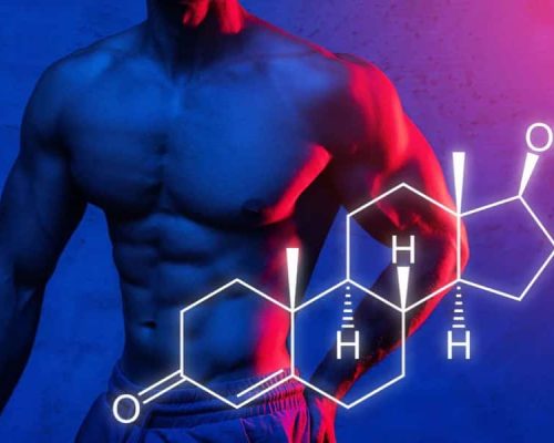 Best Testosterone Booster