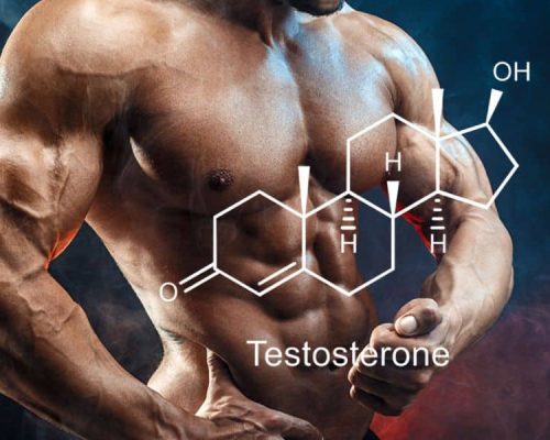 Best Testosterone Booster