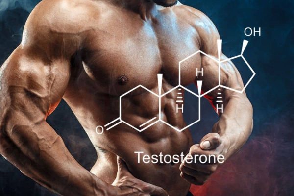 Best Testosterone Booster