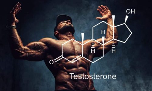 Best Testosterone Booster