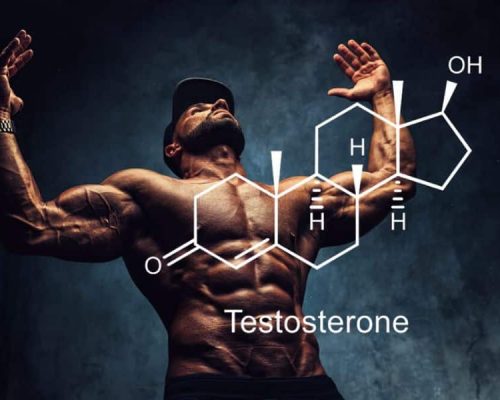 Best Testosterone Booster