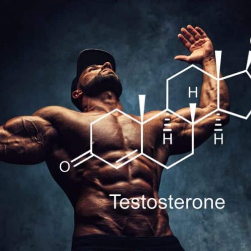 Best Testosterone Booster