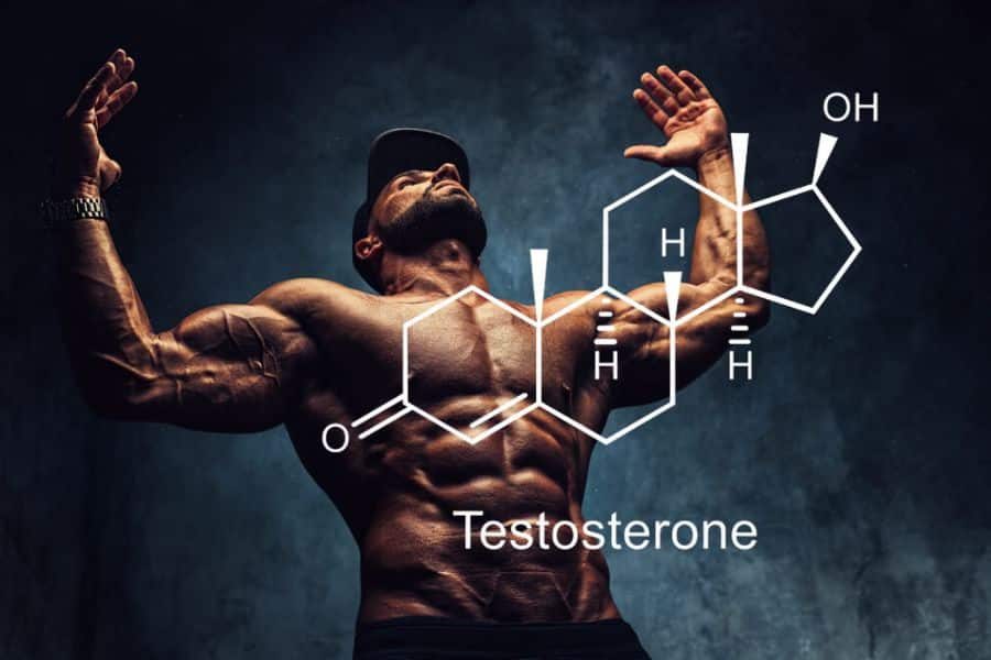 Best Testosterone Booster