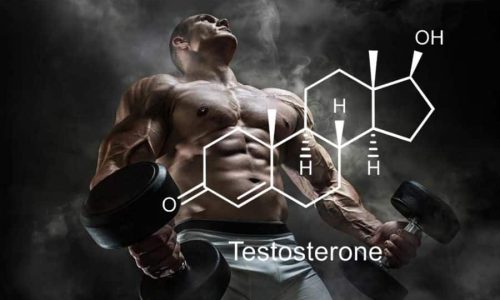 Best Testosterone Booster for Men Over 40
