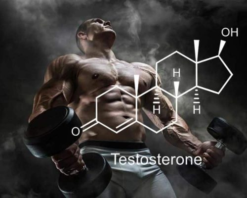 Best Testosterone Booster for Men Over 40