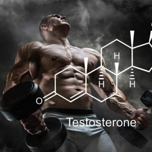 Best Testosterone Booster for Men Over 40