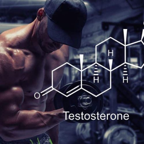 Best Testosterone Booster