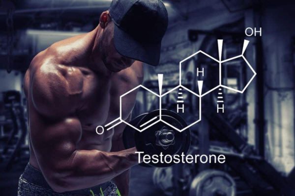 Best Testosterone Booster
