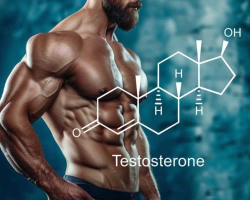 Best Testosterone Booster