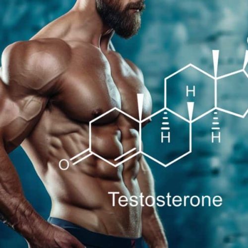Best Testosterone Booster