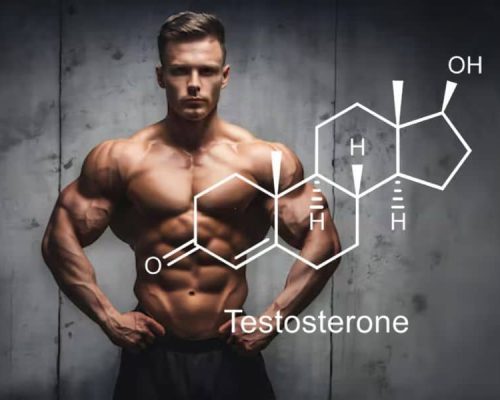 Testosterone Booster