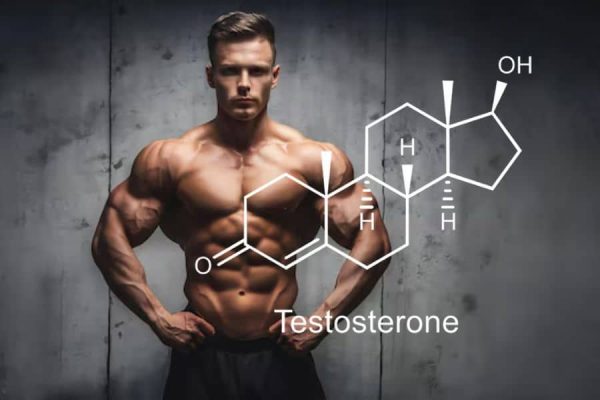 Testosterone Booster