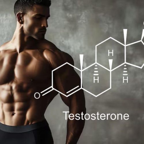 Best Testosterone Booster