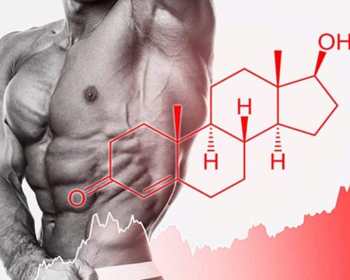 Best Testosterone Booster