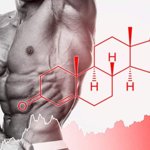 Best Testosterone Booster