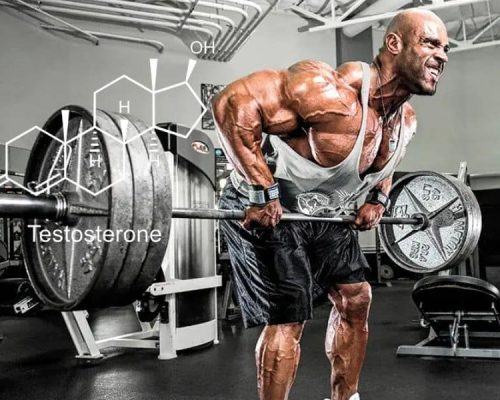 Testosterone Booster for Men